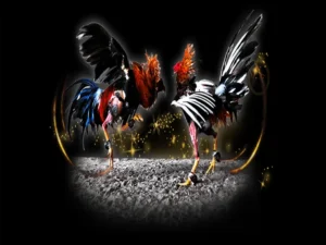 Cách Chơi Đá Gà Sabong Tại VND88 Thắng Lớn Mỗi Ngày