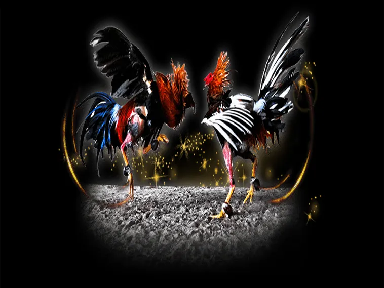 Cách Chơi Đá Gà Sabong Tại VND88 Thắng Lớn Mỗi Ngày 1 Cách Chơi Đá Gà Sabong Tại VND88 Thắng Lớn Mỗi Ngày